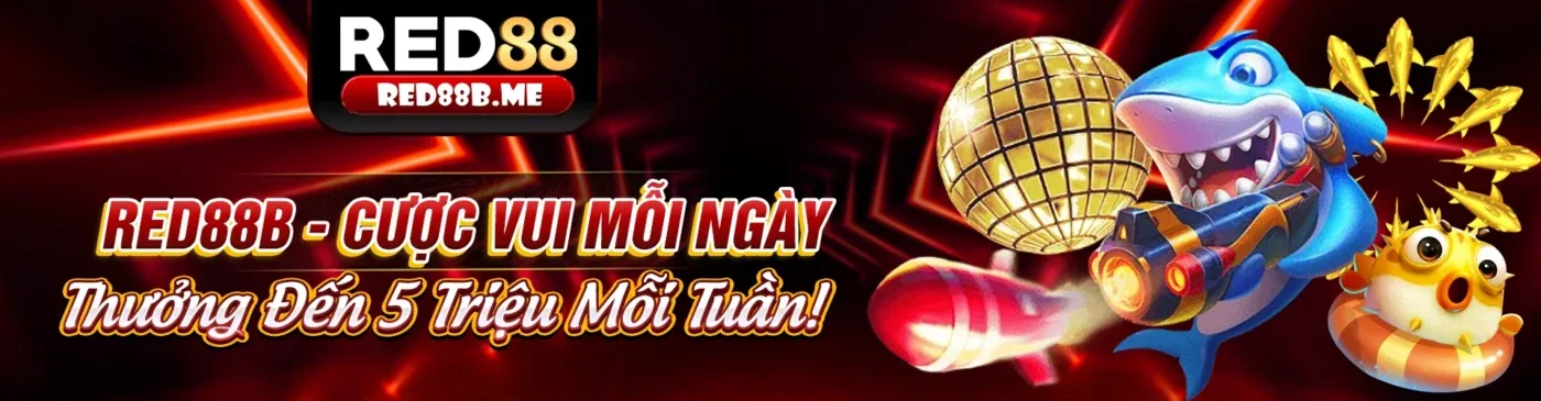 Giải thích về Cookie và cách hoạt động của chúng trên lucky8