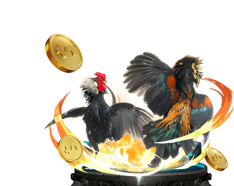 Trò chơi đá gà trực tuyến tại lucky8